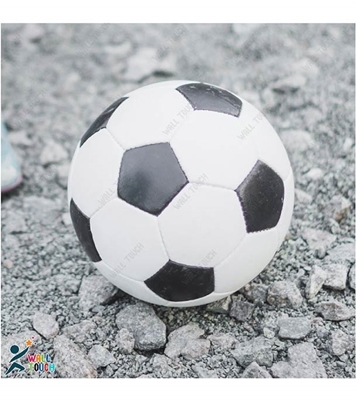 Picture of Non Stitched PU Material High Quality DEER Football