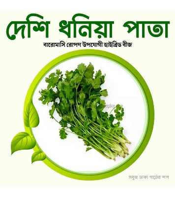 Deshi Dhoniya Pata Bij