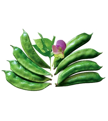  BARI 1 Shim Seeds 0.1gm Intact Pack 