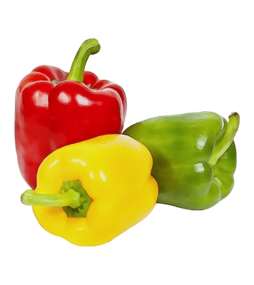 Capsicum Seeds 0.1gm Intact Pack Mixed Color 