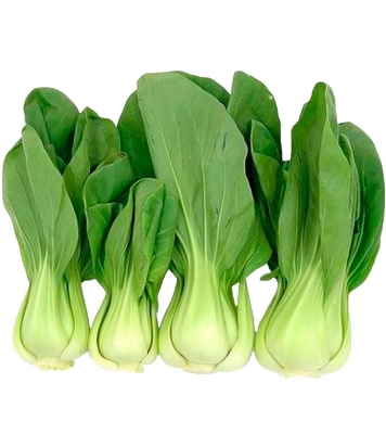 Bok Choy Seeds 20pcs Re-Pack