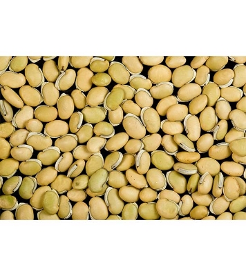 Khato Jater Shim Beez 10pcs