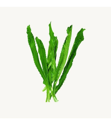 Bilati Dhoniya pata seeds 