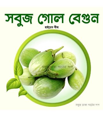 Round Green Brinjal Seeds 0.1gm Intact Pack 