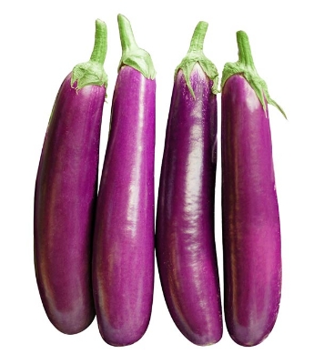 Long Brinjal Seeds 0.1gm Intact Pack
