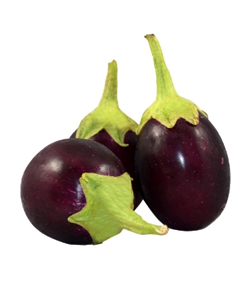 All Season Brinjal Seeds 0.1gm Intact Pack 