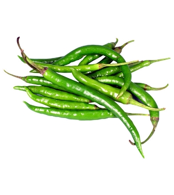 All Season Chili Seeds 0.1gm Intact Pack