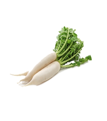 White F1 Radish Seeds 0.1gm Intact Pack 