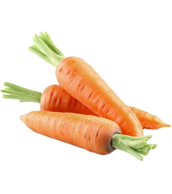 Carrot Seeds 0.1gm Intact Pack 
