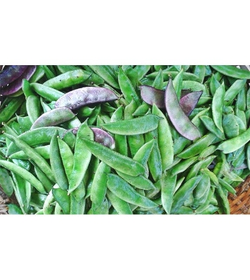 Epsa Shim All Season 