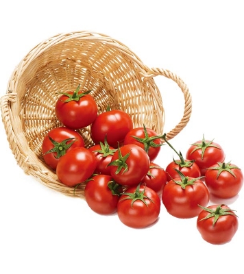 Bari 11 Tomato Hybrid Seeds 20pcs 