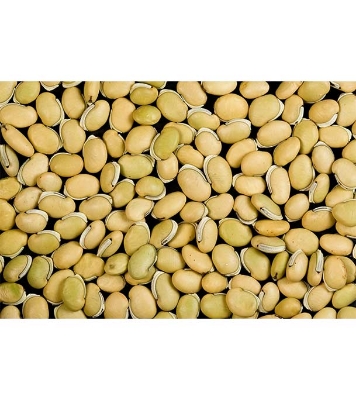 Khato Jater Shim Beez 10pcs