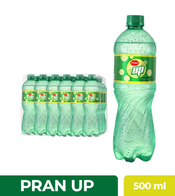 PRAN Up (Pet) 500 ml- 24 pcs