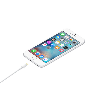 Buy Apple Lighting to USB Cable (1m) Online at Best Price