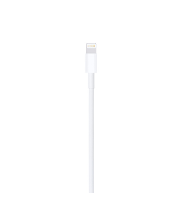 Buy Apple Lighting to USB Cable (1m) Online at Best Price