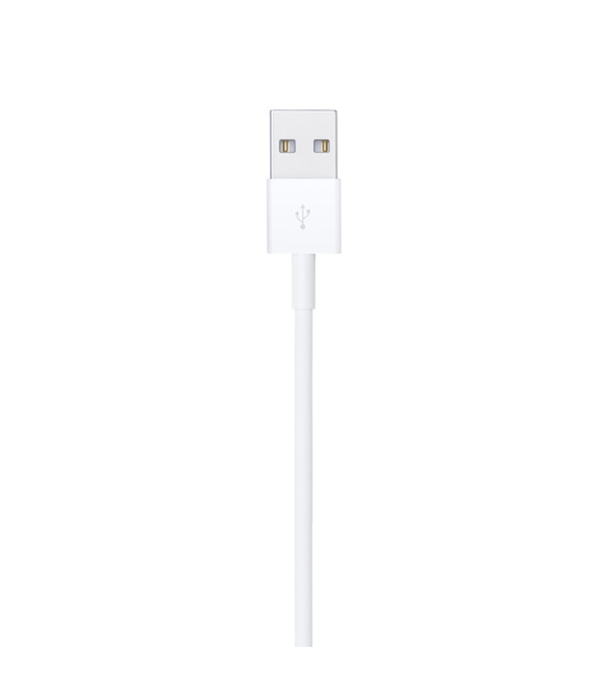 Buy Apple Lighting to USB Cable (1m) Online at Best Price