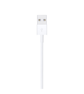 Buy Apple Lighting to USB Cable (1m) Online at Best Price