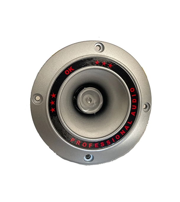 Buy Colorful Flashing Piezoelectric Audio Speaker Tweeter Online at Best Price