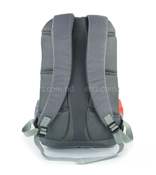 Buy Ride Along Nylon Fabric Super Light Weight Traveling School College Backpack Online