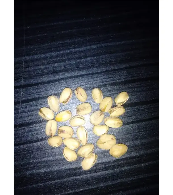 Premium Salted Pista Badam Baja Pesta Nuts - 1 Kg Pistachio