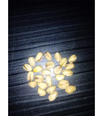 Premium Salted Pista Badam Baja Pesta Nuts - 1 Kg Pistachio