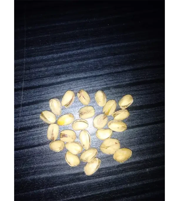 Premium Salted Pista Badam Baja Pesta Nuts - 500 gm Pistachio