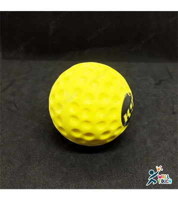 Buy Cricket Balls Hand Stitched Test Ball practice cricket balls indoor cricket balls - Unsurpassed Quality at Best Price in Bangladesh