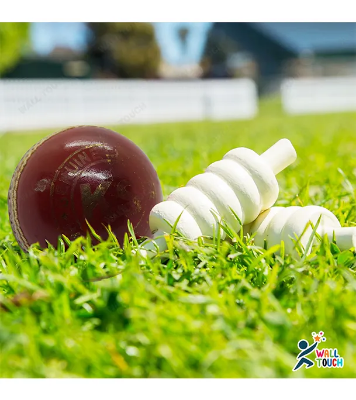 Buy KS Cricket Ball Hand Stitched Test Ball practice cricket ball indoor cricket ball - Unsurpassed Quality at Best Price in Bangladesh