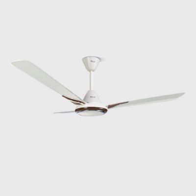 Picture for category Fan D