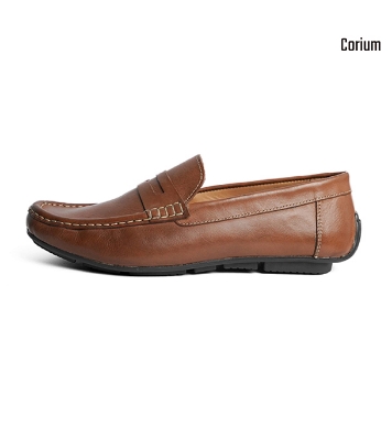Picture of Men's Stylish Loafer Brown