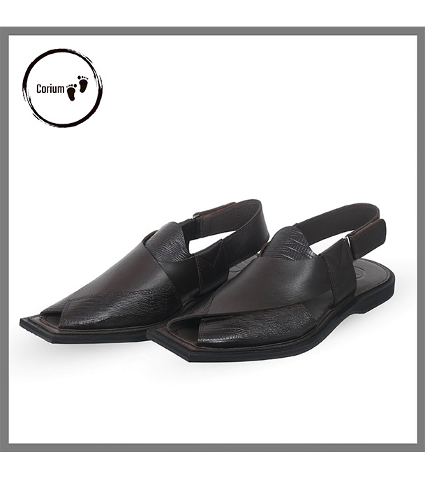 Picture of Men's Stylish Sandal Brown