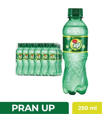Buy PRAN PRAN UP 250ml Online