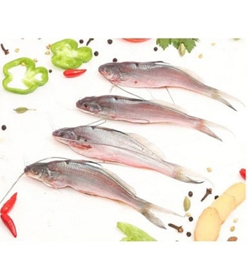 Picture of Tangra Fish (টেংরা মাছ) 1kg