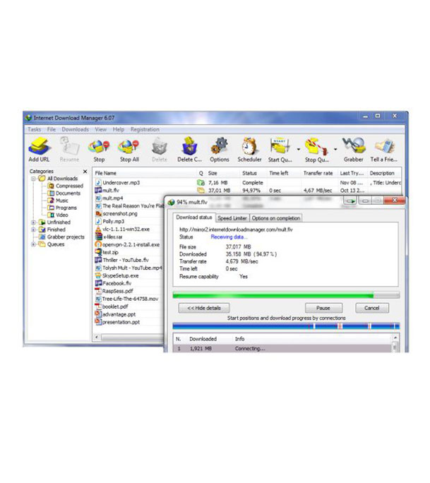 Picture of Internet Download Manager (Lifetime)