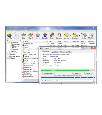 Picture of Internet Download Manager (Lifetime)