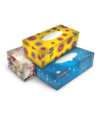 Buy Bashundhara Facial Tissue 200*2 Sheet Poly Pack Online at Best Price