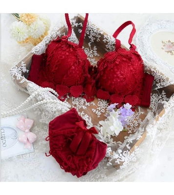 Picture of Premium Quality Imported Bra Set