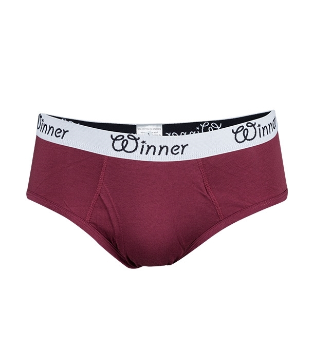 Buy Men's Deluxe Brief W0008 Maroon Online