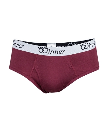 Buy Men's Deluxe Brief W0008 Maroon Online