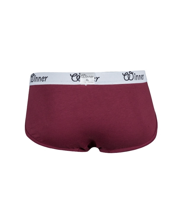 Buy Men's Deluxe Brief W0008 Maroon Online
