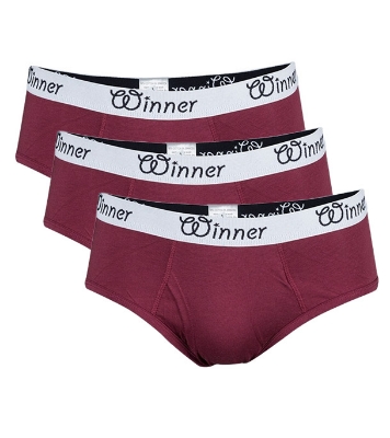 Picture of Winner Style Men's Deluxe Brief Maroon Color 3 Pcs