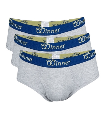 Picture of Winner Style Men's Deluxe Brief Grey Melange Color 3Pcs
