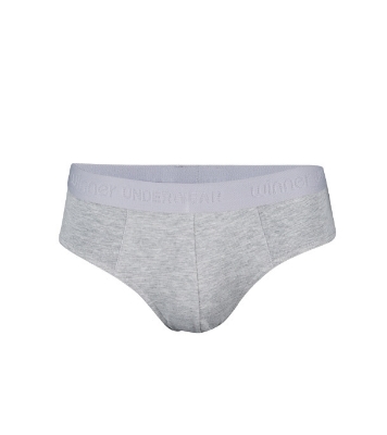 Buy Men's Comforter Brief Gray Melange WC201639 Online at Best Price