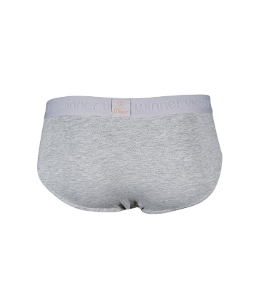 Buy Men's Comforter Brief Gray Melange WC201639 Online at Best Price