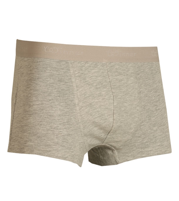Buy Men's Comforter Boxer Gray Melange Online