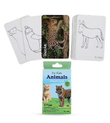 Picture of For Kids Animal Flashcard  Cards