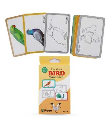 Picture of  Birds Flash Cards 