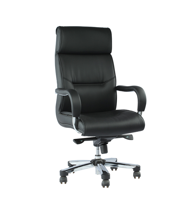 Buy Regal Office chair Swivel CSC-249-6-1-66 Online at Best Price