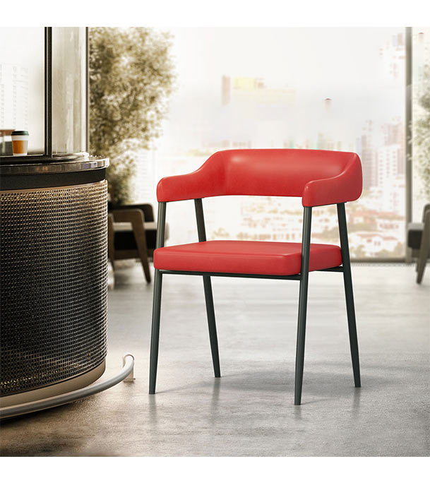 Buy Regal DINING/ CAFE/ VISITOR CHAIR Metal Dining/cafe/Visitor chair II CAFÉ CHAIR-201 Online at Best Price