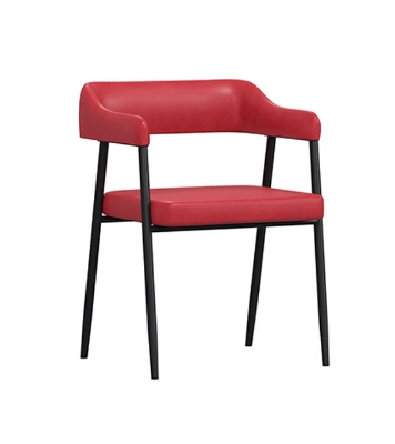 Buy Regal DINING/ CAFE/ VISITOR CHAIR Metal Dining/cafe/Visitor chair II CAFÉ CHAIR-201 Online at Best Price